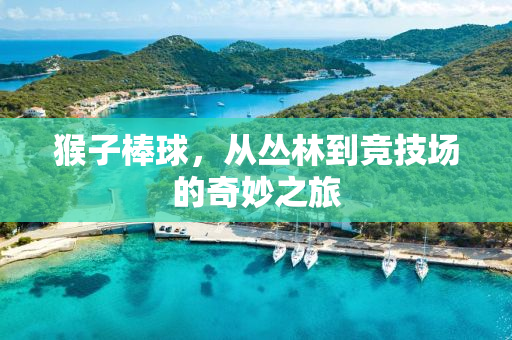 猴子棒球，从丛林到竞技场的奇妙之旅