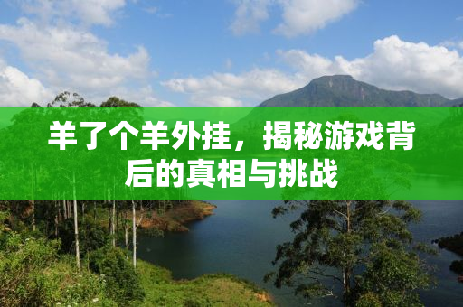 羊了个羊外挂，揭秘游戏背后的真相与挑战