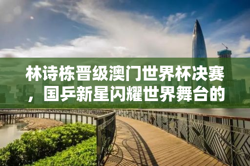 林诗栋晋级澳门世界杯决赛，国乒新星闪耀世界舞台的征程