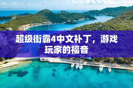 超级街霸4中文补丁，游戏玩家的福音