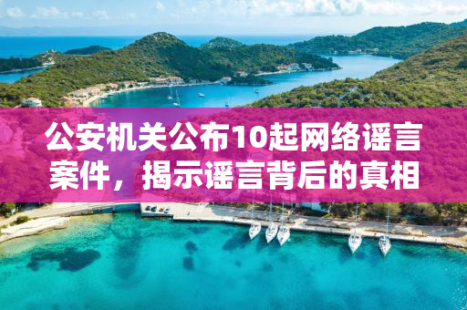公安机关公布10起网络谣言案件，揭示谣言背后的真相与法治力量