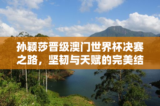 孙颖莎晋级澳门世界杯决赛之路，坚韧与天赋的完美结合