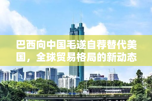 巴西向中国毛遂自荐替代美国，全球贸易格局的新动态与深层解读