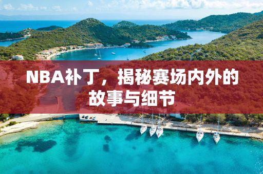 NBA补丁，揭秘赛场内外的故事与细节