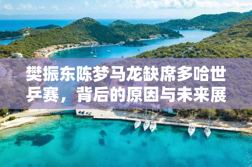 樊振东陈梦马龙缺席多哈世乒赛，背后的原因与未来展望