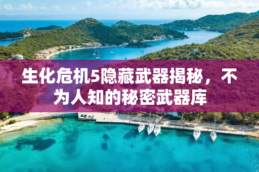 生化危机5隐藏武器揭秘，不为人知的秘密武器库
