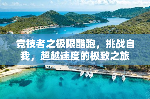 竞技者之极限酷跑，挑战自我，超越速度的极致之旅