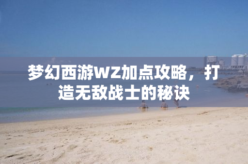 梦幻西游WZ加点攻略，打造无敌战士的秘诀