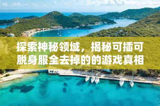 探索神秘领域，揭秘可插可脱身服全去掉的的游戏真相