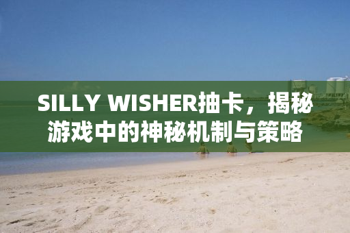 SILLY WISHER抽卡，揭秘游戏中的神秘机制与策略