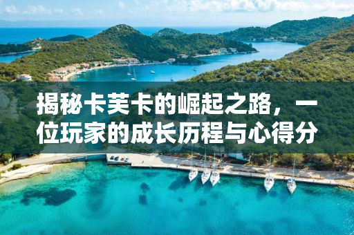 揭秘卡芙卡的崛起之路，一位玩家的成长历程与心得分享——卡芙卡角色攻略篇（50级篇）