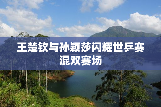 王楚钦与孙颖莎闪耀世乒赛混双赛场