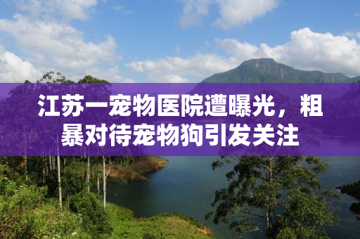 江苏一宠物医院遭曝光，粗暴对待宠物狗引发关注