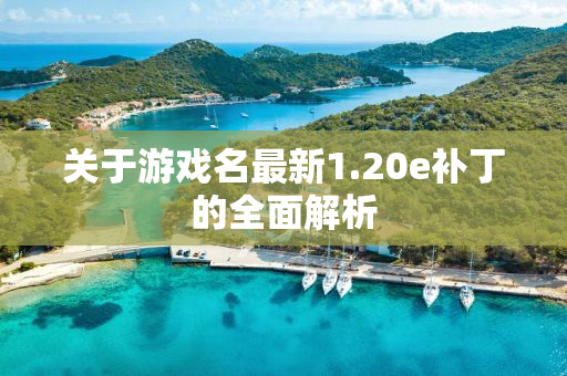 关于游戏名最新1.20e补丁的全面解析