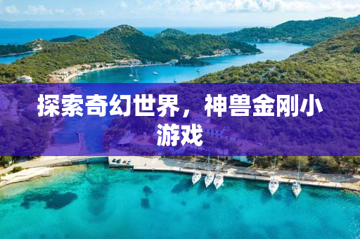 探索奇幻世界，神兽金刚小游戏