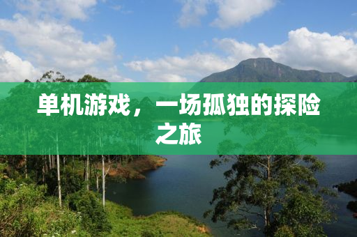 单机游戏，一场孤独的探险之旅