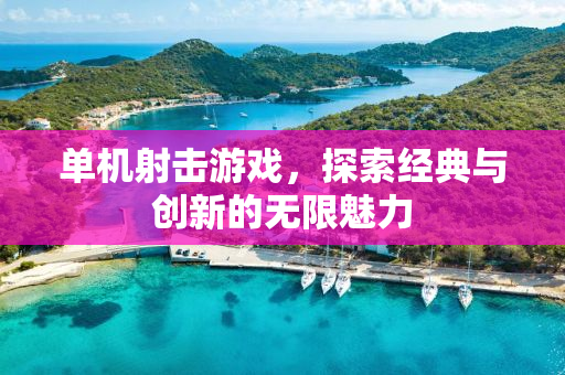 单机射击游戏，探索经典与创新的无限魅力
