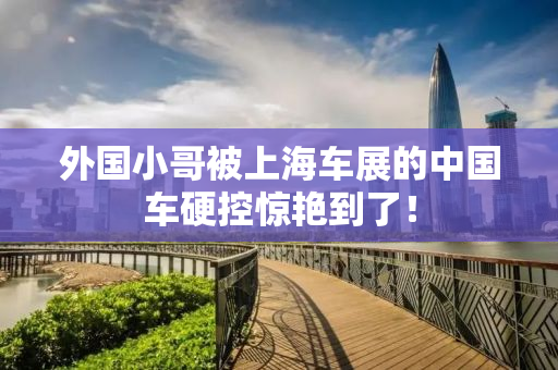 外国小哥被上海车展的中国车硬控惊艳到了！