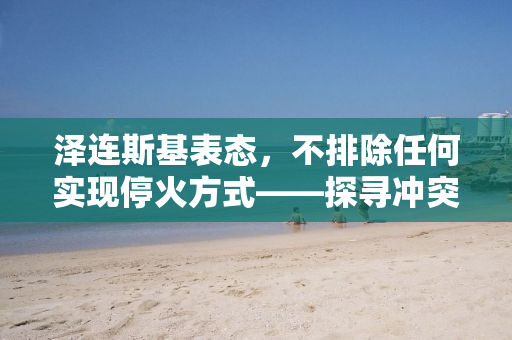 泽连斯基表态，不排除任何实现停火方式——探寻冲突解决之路