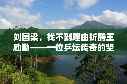 刘国梁，找不到理由折腾王励勤——一位乒坛传奇的坚守与探索
