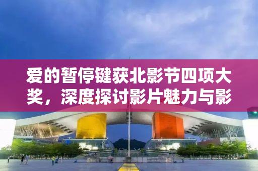 爱的暂停键获北影节四项大奖，深度探讨影片魅力与影响