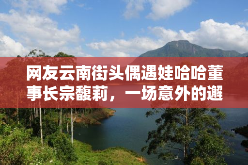网友云南街头偶遇娃哈哈董事长宗馥莉，一场意外的邂逅揭示女企业家的真实生活