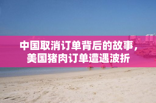 中国取消订单背后的故事，美国猪肉订单遭遇波折