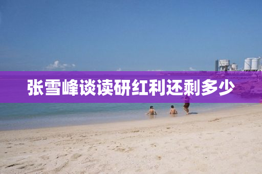 张雪峰谈读研红利还剩多少