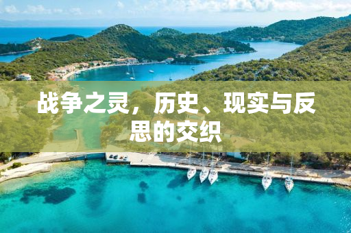 战争之灵，历史、现实与反思的交织
