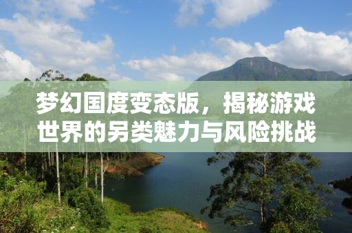 梦幻国度变态版，揭秘游戏世界的另类魅力与风险挑战