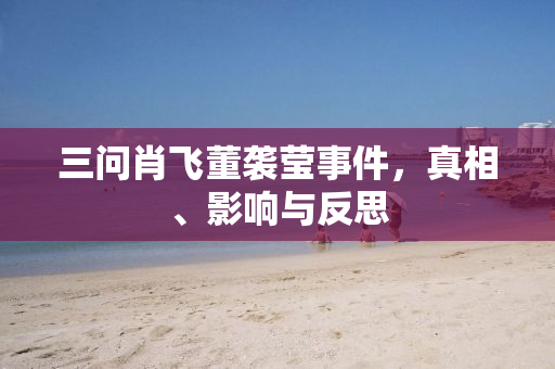 三问肖飞董袭莹事件，真相、影响与反思