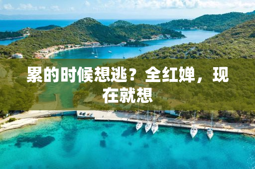 累的时候想逃？全红婵，现在就想