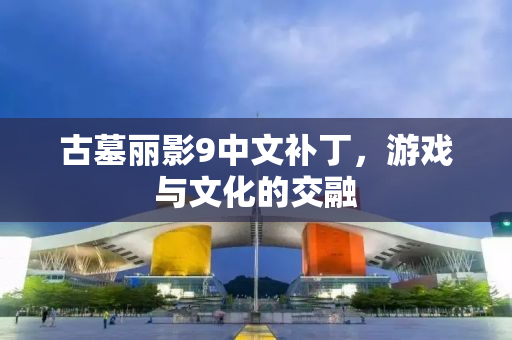 古墓丽影9中文补丁，游戏与文化的交融