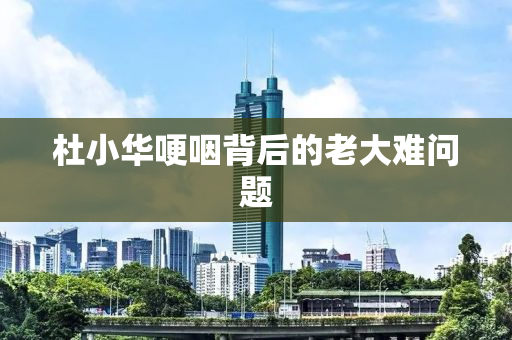杜小华哽咽背后的老大难问题