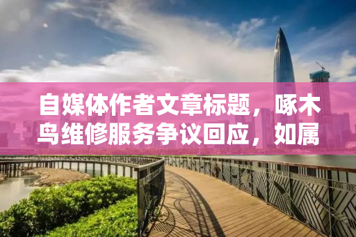 自媒体作者文章标题，啄木鸟维修服务争议回应，如属实将严惩师傅，揭示背后的真相