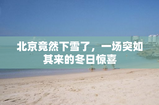 北京竟然下雪了，一场突如其来的冬日惊喜