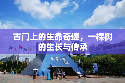 古门上的生命奇迹，一棵树的生长与传承