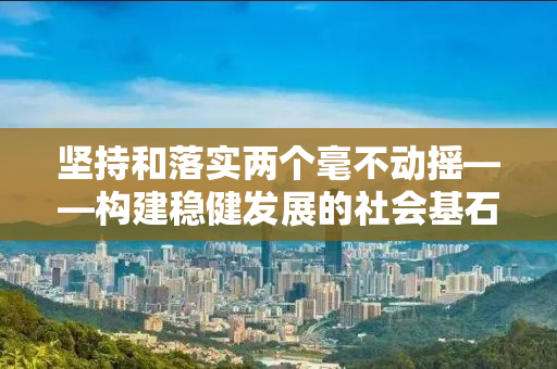 坚持和落实两个毫不动摇——构建稳健发展的社会基石