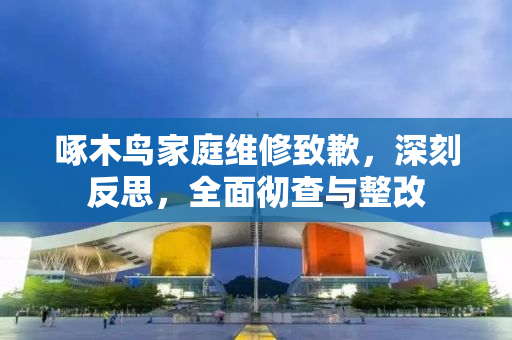 啄木鸟家庭维修致歉，深刻反思，全面彻查与整改