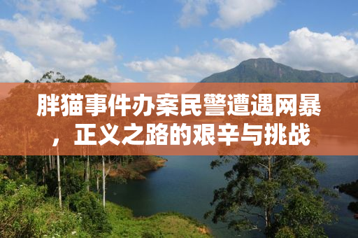 胖猫事件办案民警遭遇网暴，正义之路的艰辛与挑战