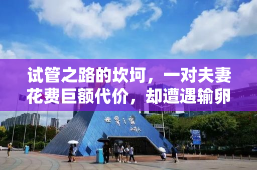 试管之路的坎坷，一对夫妻花费巨额代价，却遭遇输卵管切除的无奈经历