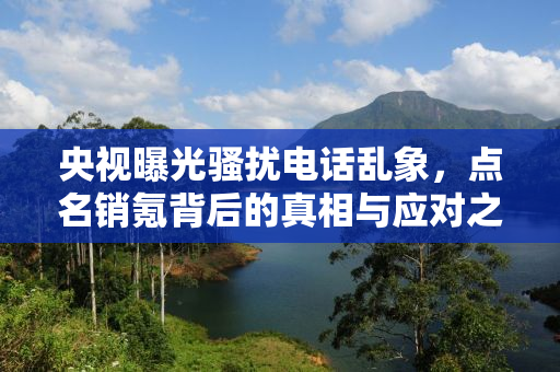 央视曝光骚扰电话乱象，点名销氪背后的真相与应对之道