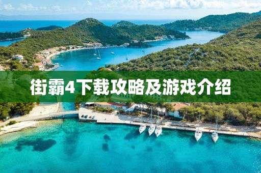 街霸4下载攻略及游戏介绍