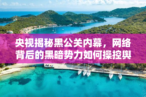 央视揭秘黑公关内幕，网络背后的黑暗势力如何操控舆论？