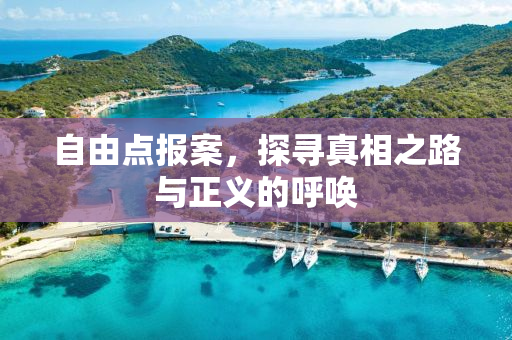 自由点报案，探寻真相之路与正义的呼唤