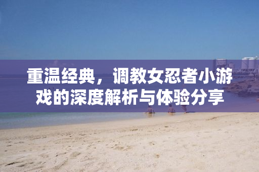 重温经典，调教女忍者小游戏的深度解析与体验分享