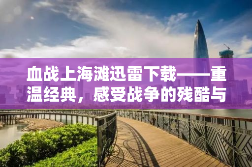 血战上海滩迅雷下载——重温经典，感受战争的残酷与荣耀