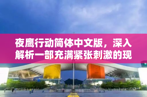 夜鹰行动简体中文版，深入解析一部充满紧张刺激的现实主义佳作