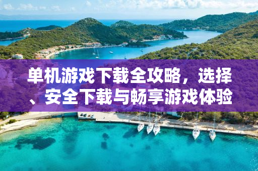 单机游戏下载全攻略，选择、安全下载与畅享游戏体验