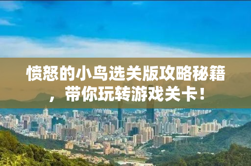 愤怒的小鸟选关版攻略秘籍，带你玩转游戏关卡！